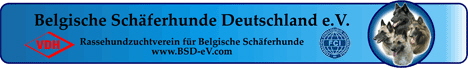 BannerBSDev