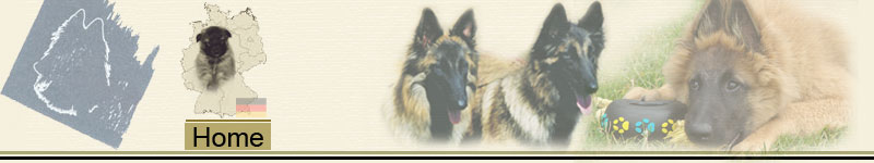 Banner_Home